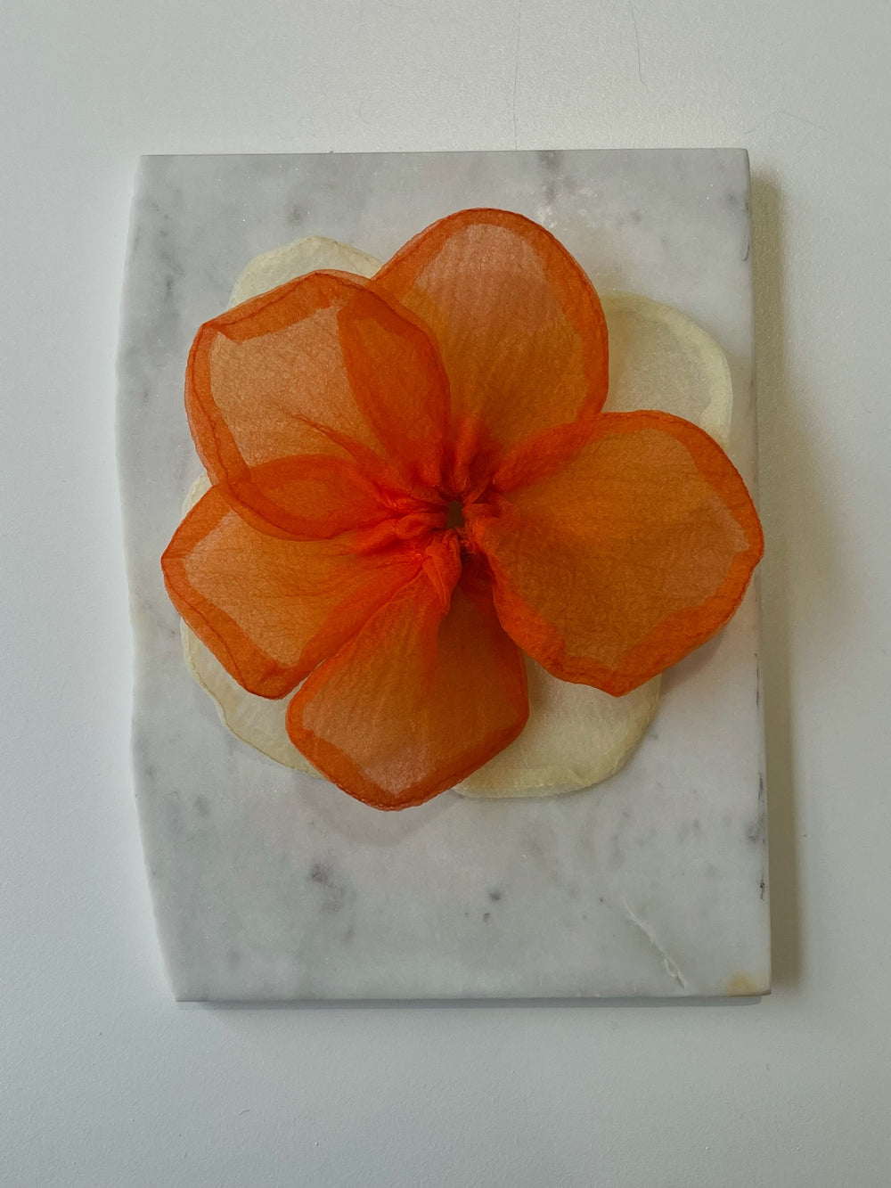HAIR TIE BUTTERCUP ELASTIC BIG SUI AVA ORANGE