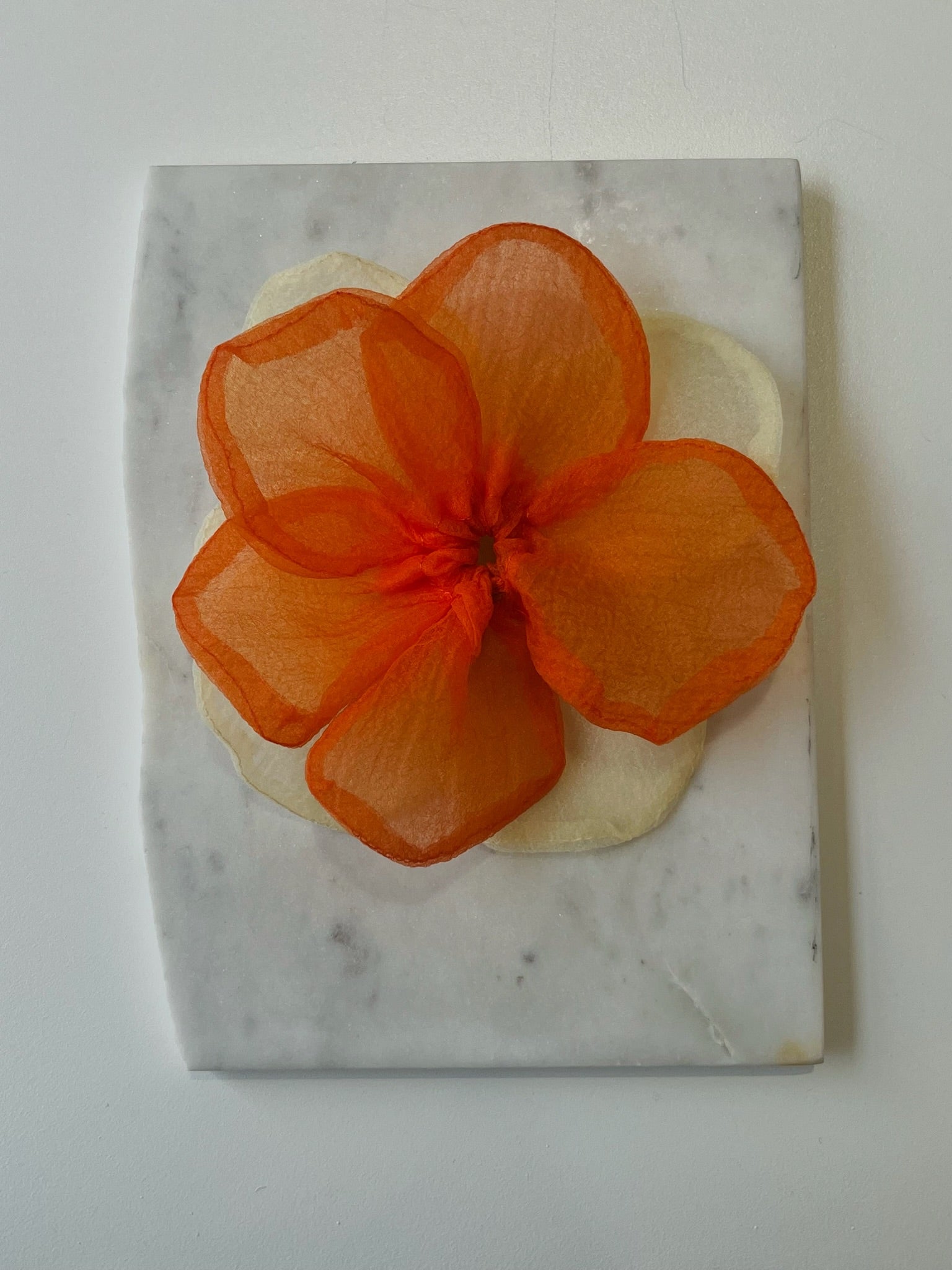 HAIR TIE BUTTERCUP ELASTIC BIG SUI AVA ORANGE